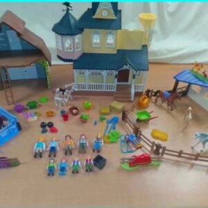 lot maison spirit playmobil