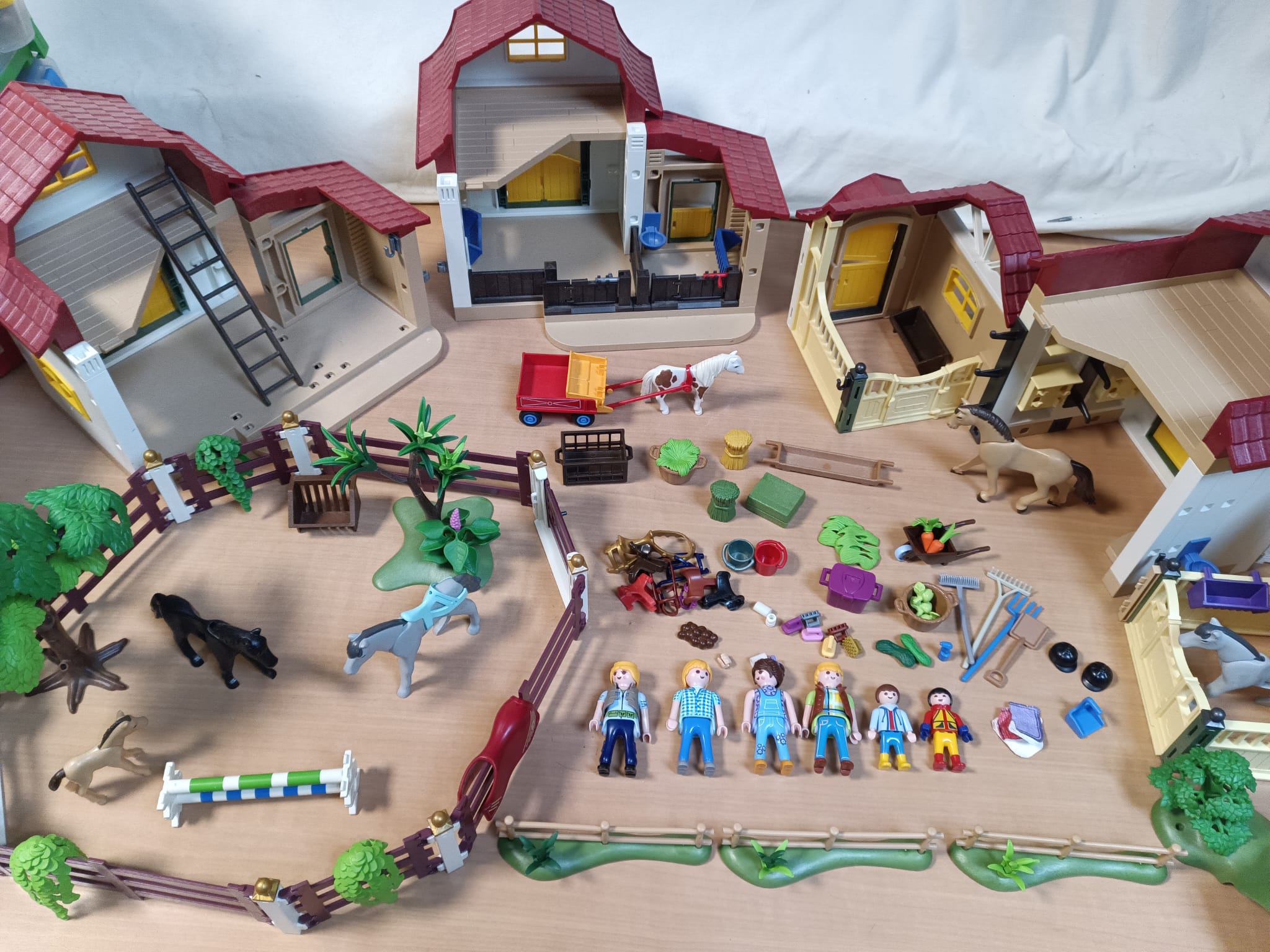 lot centre équestre playmobil