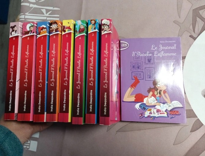 lot de livres le journal d aurelie laflamme