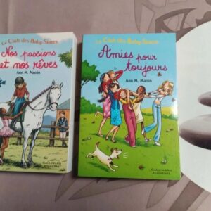 lot de livres le club des baby sitters