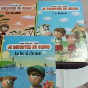 lot de livres avec tom et lilou