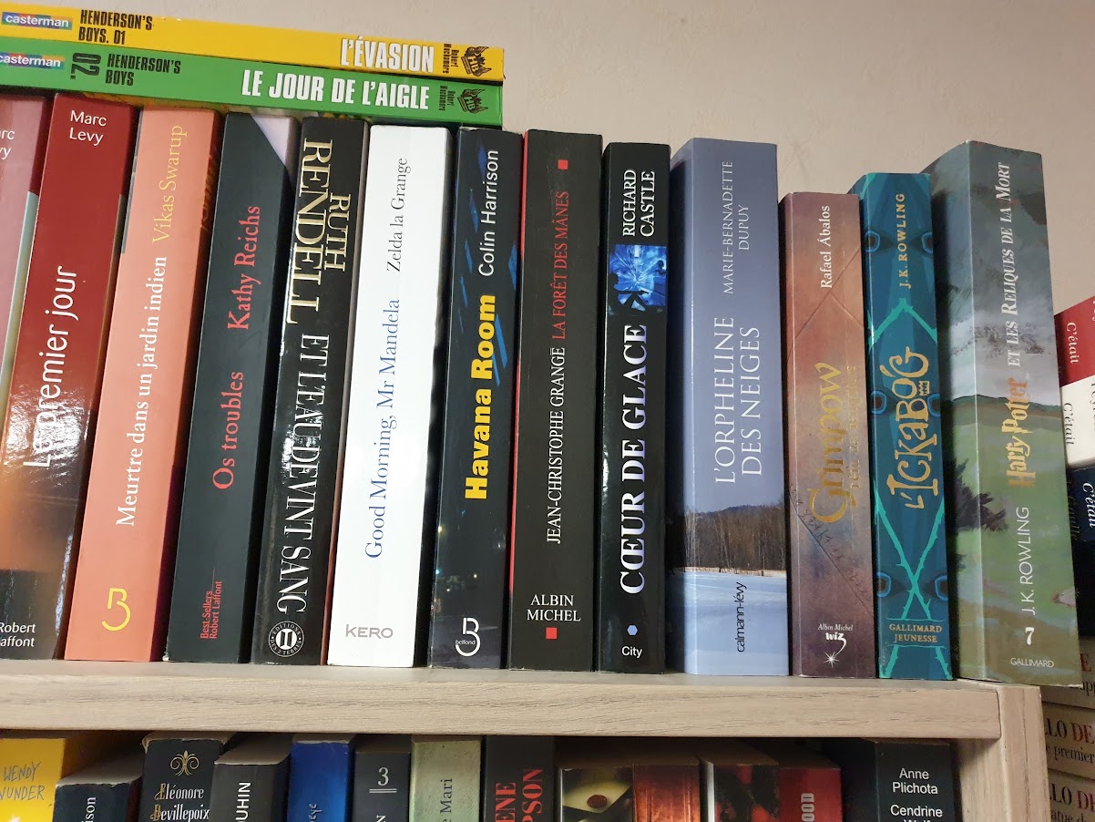 livre ado/ adulte – Image 4