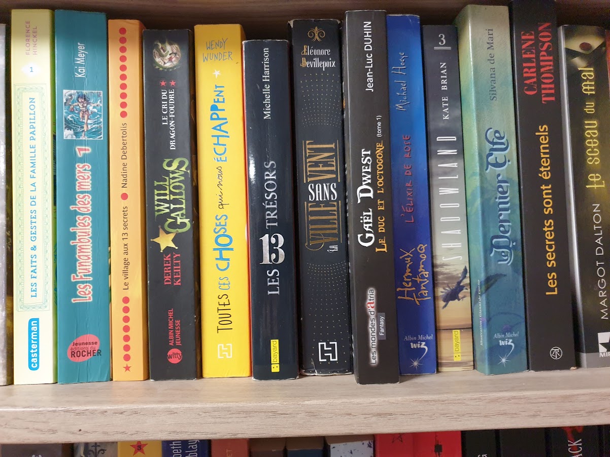 livre ado/ adulte – Image 6