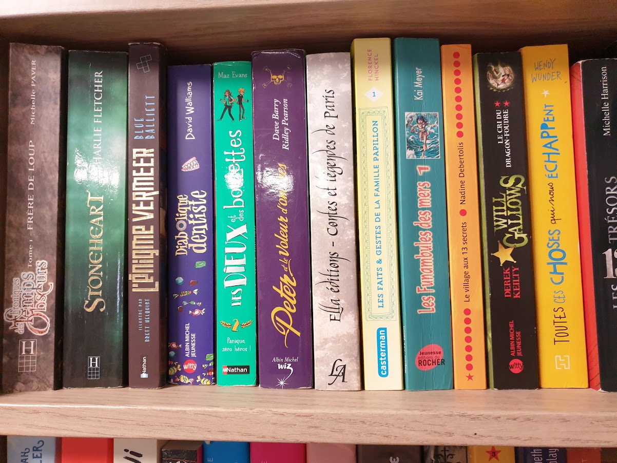 livre ado/ adulte – Image 7