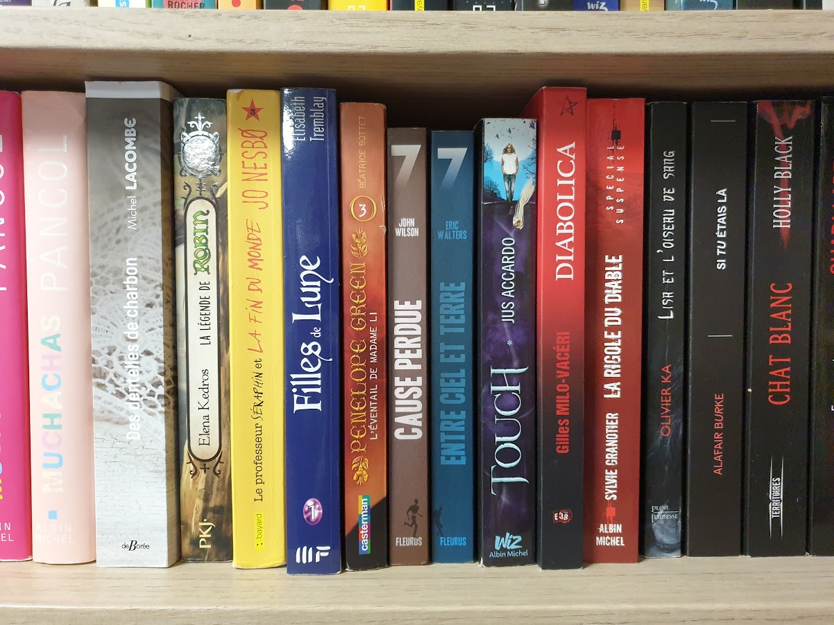 livre ado/ adulte – Image 9