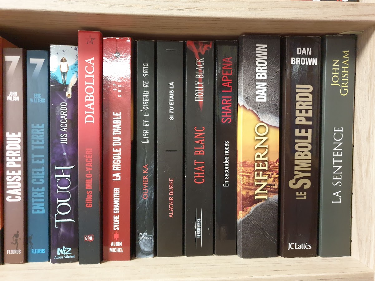 livre ado/ adulte – Image 10