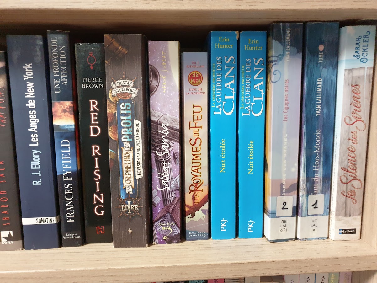 livre ado/ adulte – Image 11