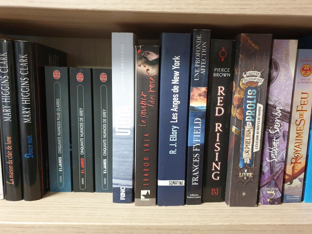 livre ado/ adulte – Image 12