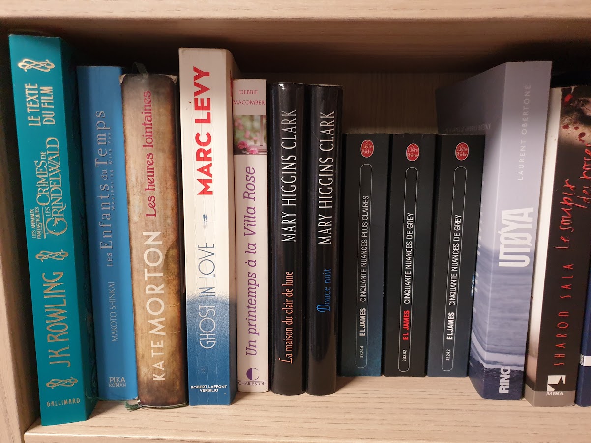 livre ado/ adulte – Image 13