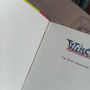 lot de livres biblothèque rose Witch